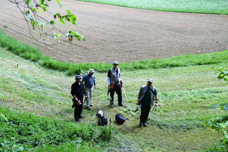 dsc_0072.jpg
