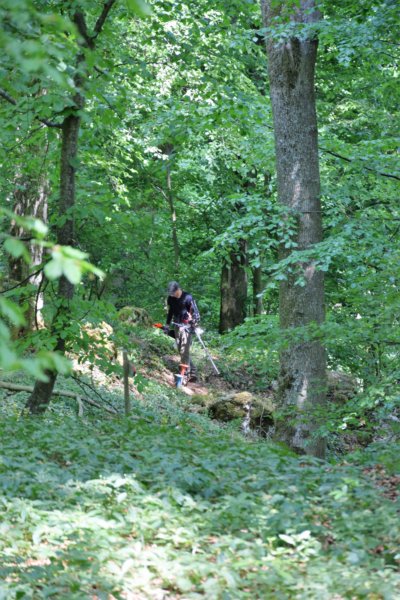 dsc_0153.jpg