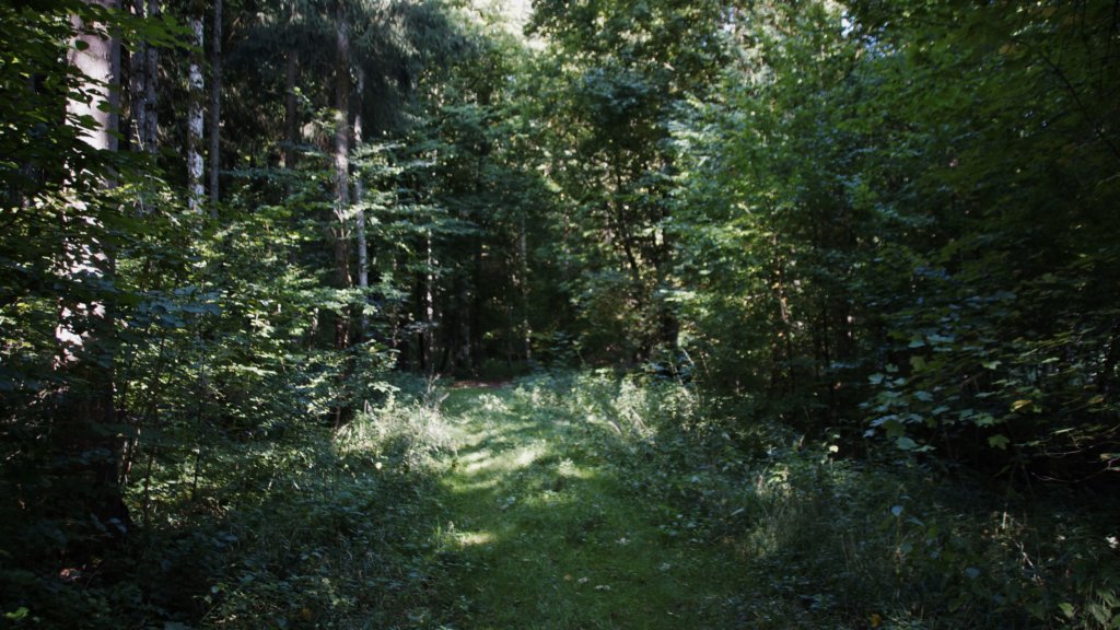 _dsc8395.jpg