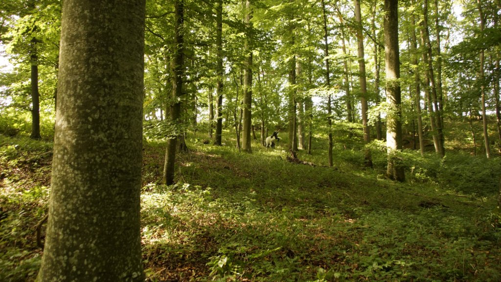 _dsc8434.jpg
