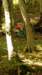 _dsc8444_small.jpg