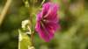 _dsc8509_small.jpg