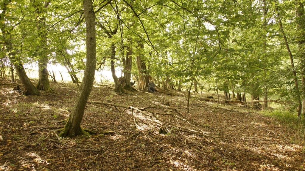_dsc8513.jpg