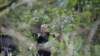 _dsc8586_small.jpg