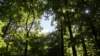 _dsc8718_small.jpg