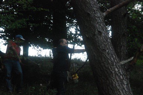 photo117.jpg