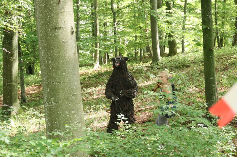 c117.jpg