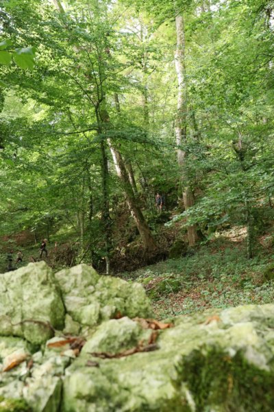 c12.jpg