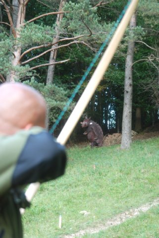 photo21.jpg