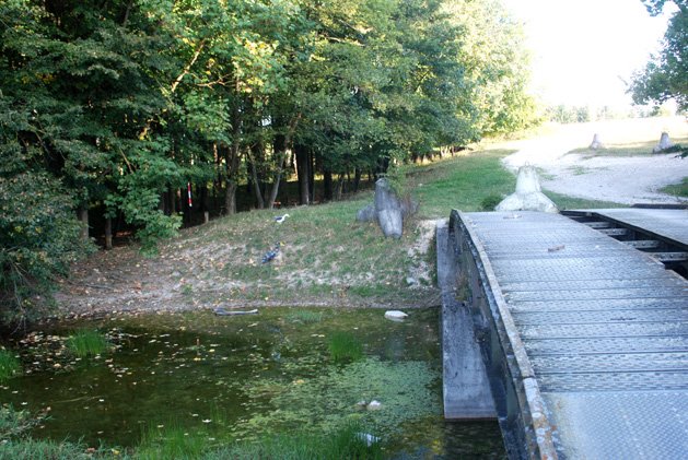 photo25.jpg