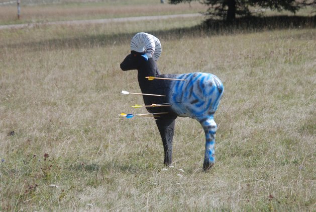 photo41.jpg