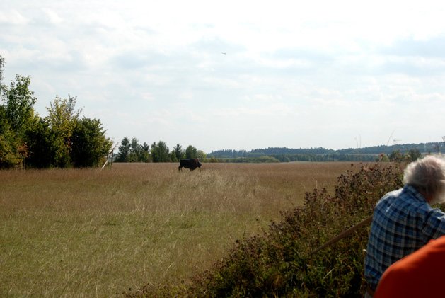 photo42.jpg