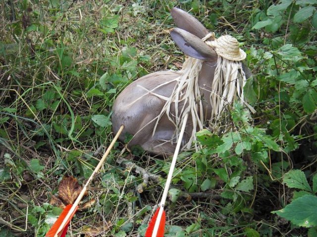 photo42.jpg