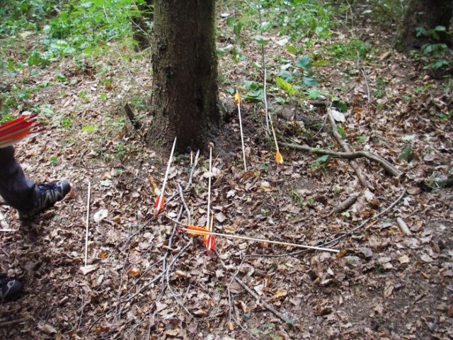 photo44.jpg